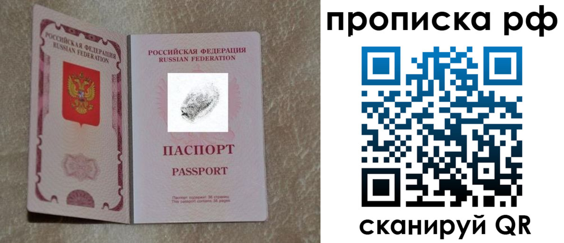 прописка поиск в Тосно